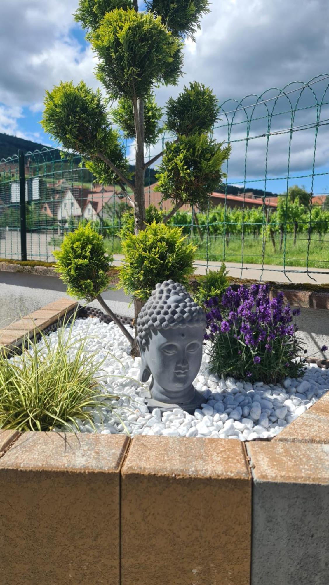 Au Jardin D'Edel Gites Centre Alsace Dieffenthal Eksteriør billede